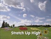 Stretch Up High