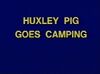 Huxley Pig Goes Camping