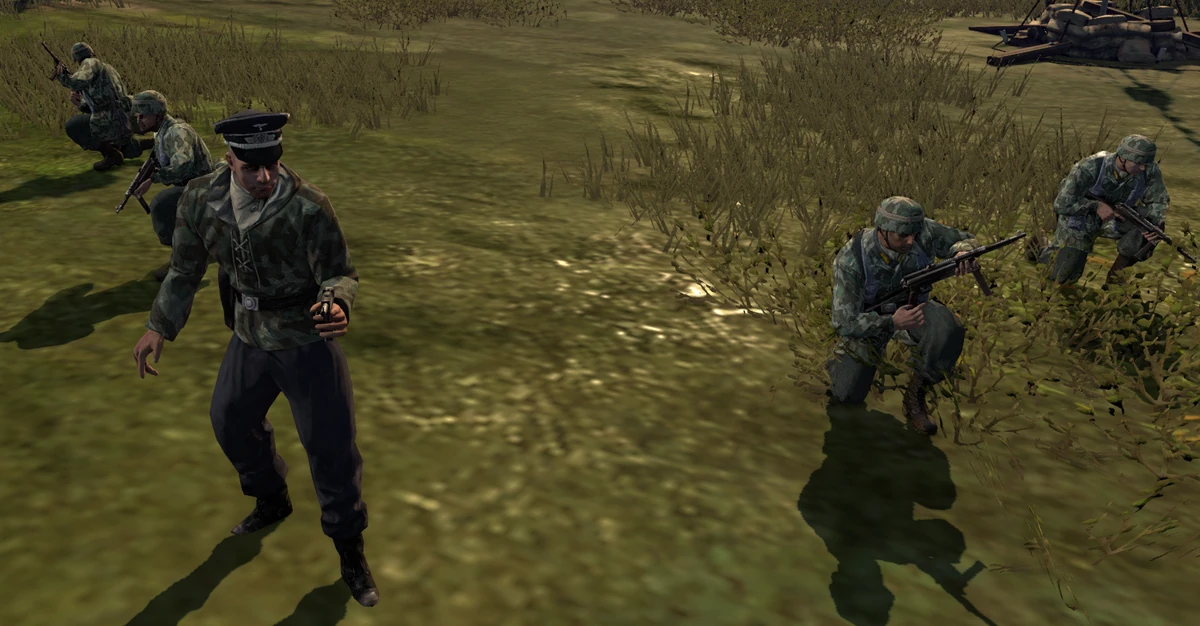 Luftwaffe Field Officer Company of Heroes Wiki Fandom