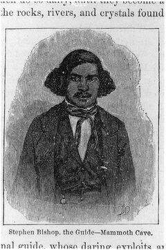 Stephen Bishop.jpg
