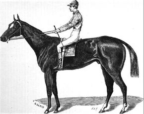 Aristides.jpg