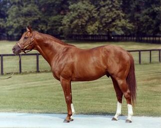 Secretariat.jpg