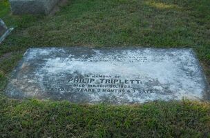 Philip Triplett.jpg