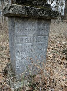 Albert Gallatin Hawes.jpg