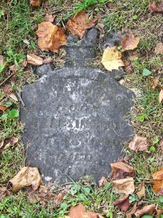 William Stout Chipley.jpg