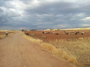 Paisaje Campiña