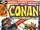 Conan the Barbarian 116