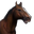 Icon horse brown.png