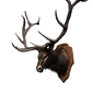 Icon trophy elk
