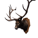 Icon trophy elk