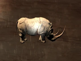 White Rhinoceros (Pet) - Official Conan Exiles Wiki