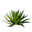 Icon aloe vera.png