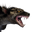 Icon pet Hyena Alpha.png