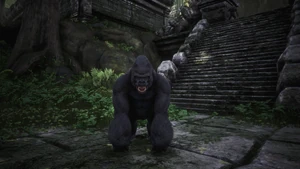 Gorilla