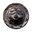 Icon BAS shield.png