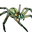 Icon pet Spider Green.png