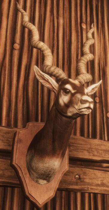 Antilope Head Trophy.jpg