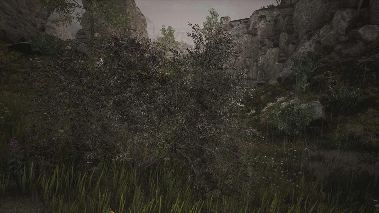 How to grow plants in conan exiles studybuilding