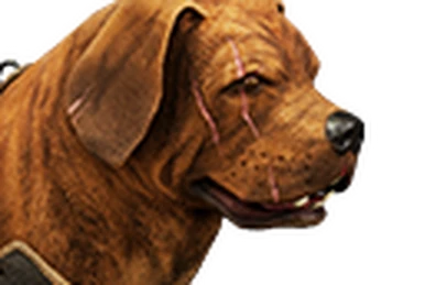 Zingaran Guard Dog (Pet) - Official Conan Exiles Wiki