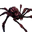 Icon pet Spider Corrupted.png