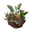 Icon lure vegetarian.png