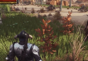 True Indigo near Oasis of Nekhet.