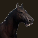 Icon horse black
