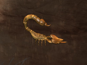 Tamed Scorpion