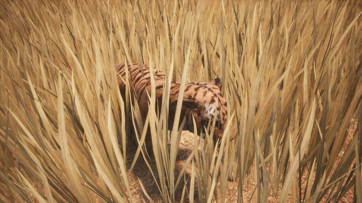 Tiger Cub Official Conan Exiles Wiki