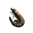 Icon rawBadShellFish