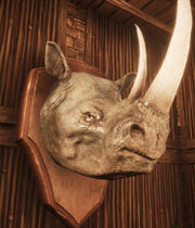 Grey Rhino Head Trophy