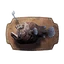 Icon anglerfish trophy