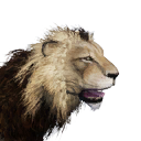 Icon lion