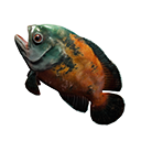 Savory Fish