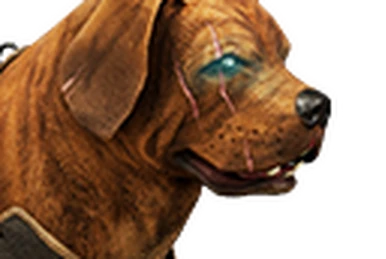 Zingaran Guard Dog (Pet) - Official Conan Exiles Wiki
