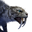 Icon pet Sabretooth Alpha.png