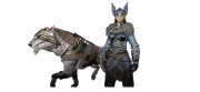 Aesir Accoutrements