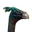 Icon pet Ostrich Red.png