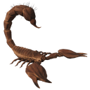 NPC ScorpionLarge.png
