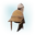 Icon argossean medium helmet.png
