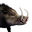 Icon pet Wild Boar.png