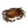 Icon rawShellFish.png