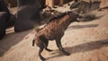 Spotted hyena - Side