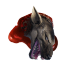 Aardwolf Head
