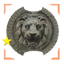 Warriors Lion Shield