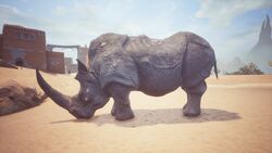 King Rhino 1948.jpg