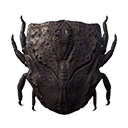 Icon carapace shield