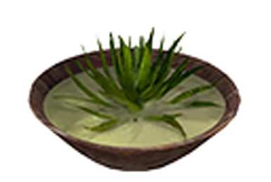 body shop aloe vera gel Aloe Vera Gel  TresLife LLC