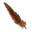 Icon devolved harpy feather