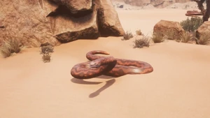 Snake
